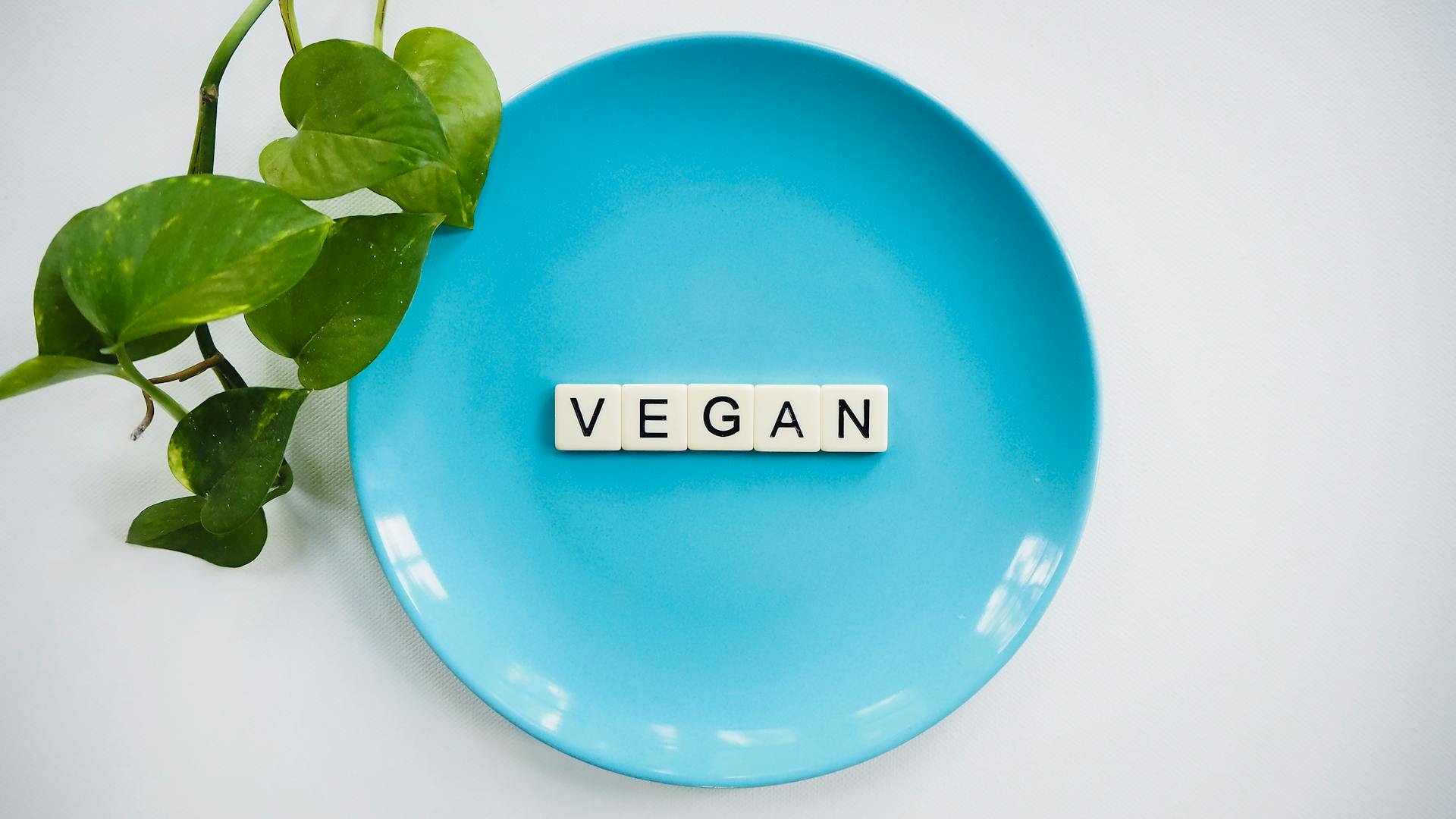 Helados Veganos Cómo Hacerlos Cremosos en Tu Heladera Helados Veganos: Cómo Hacerlos Cremosos en Tu Heladera
