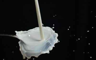 Helados sin Lactosa: 8 Recetas Deliciosas para Intolerantes
