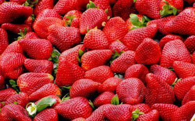 Helado de Fresa Casero: Receta Fácil y Cremosa