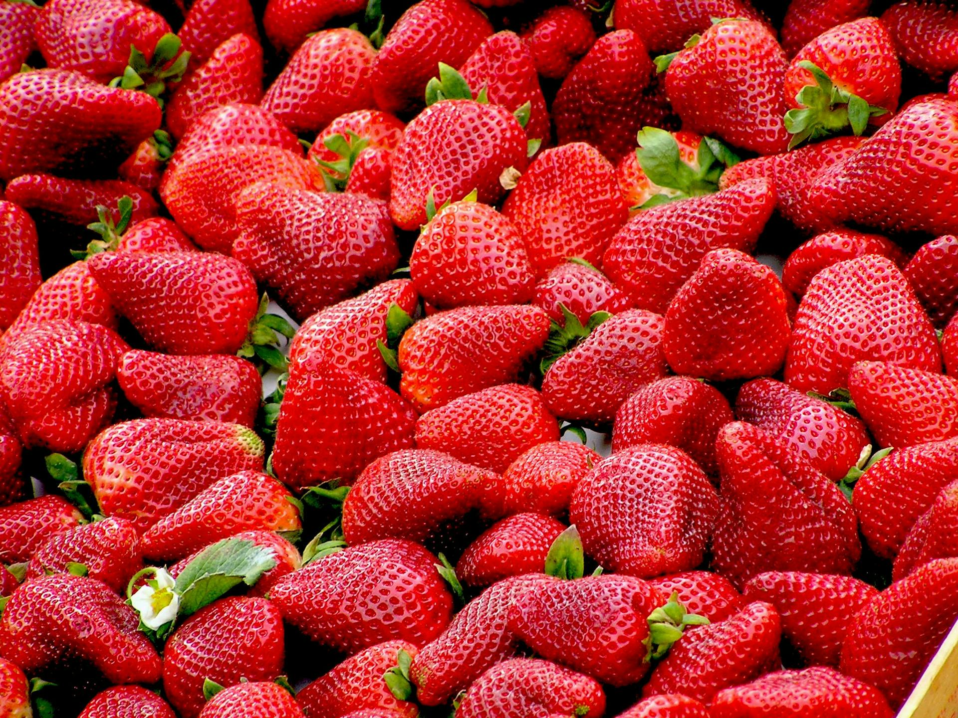 Receta helado de fresa Helado de Fresa Casero: Receta Fácil y Cremosa